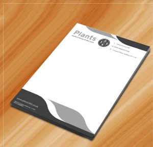 in giấy tiêu đề, letterhead