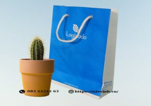 in túi giấy theo yêu cầu
