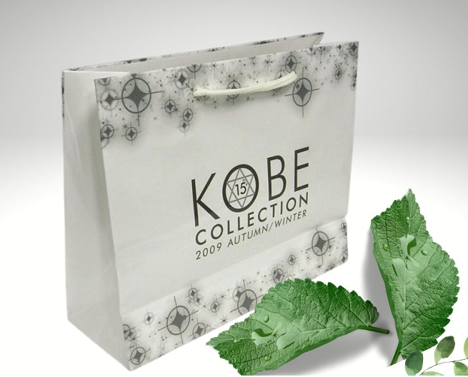 in túi giấy cho shop thời trang