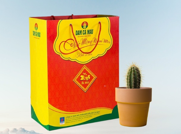 in túi giấy cao cấp